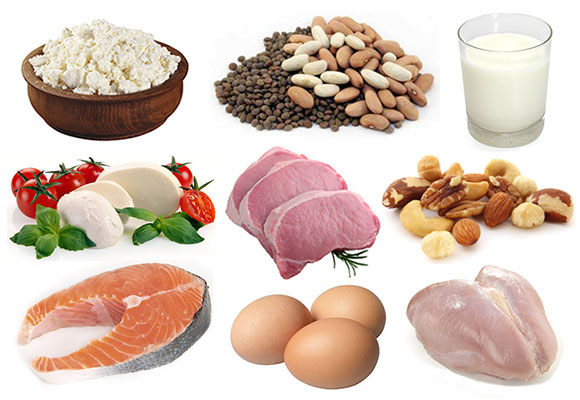 types-of-protein